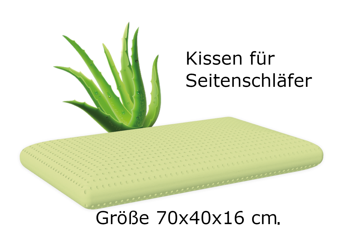 Oreiller - Aloe Vera